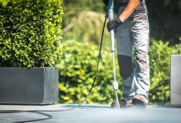 Best Gutter Cleaning  in Tenafly, NJ